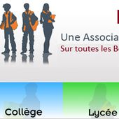 Licence professionnelle