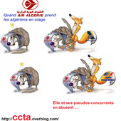 CCTA à Air France : êtes-vous complice ou contrainte de s'aligner sur les tarifs exorbitants d'Air Algérie / Aigle Azur ? - Collectif CCTA
