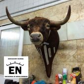 Bases del sorteo. - Asociación Taurina Encierros de Navalcarnero