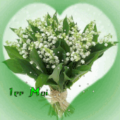 MUGUET = BONHEUR EN CE 1er JOUR DU MOI DE MAI