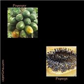 LES FRUITS QUI NOUS VEULENT DU BIEN (3/6) - CLG Création Version 2.0