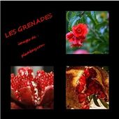 LES FRUITS QUI VOUS VEULENT DU BIEN (4/6) - CLG Création Version 2.0