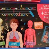 Le corps humain (fin, enfin pas sûre!) - Les Ateliers de Cathy