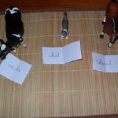 Les Ateliers de Cathy