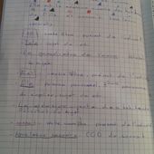 Vaiana - Les Ateliers de Cathy