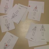 Le corps humain : Le squelette - Les Ateliers de Cathy