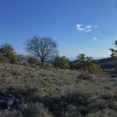 AUX ALENTOURS DU COL DE VENCE