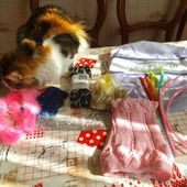 le sac à cadeaux pruneau est parti, devinez chez qui:) - Chez Laramicelle