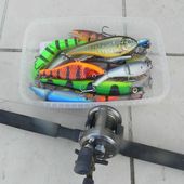 TOP 10 Big Bait pour l'ouverture du Brochet - Lures Passion