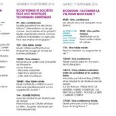 Festival Vivant - Corps en Immersion