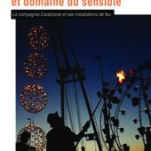INTELLIGENCE ARTISTIQUE ET DOMAINE DU SENSIBLE - Corps en Immersion