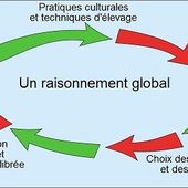 QU'UN SANG NOUVEAU IRRIGUE NOS SILLONS... - fedetlib.overblog.com