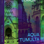Aqua tumulta de Pierre Caron: polar mystique! - NoirsPolars