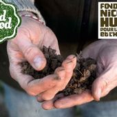 "I Field Good : pour une agriculture et une alimentation d'avenir" (suite) : découvrir le mouvement