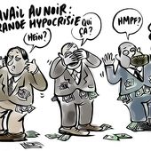 La lutte contre la "vraie" fraude sociale - Le Kiosque aux Canards