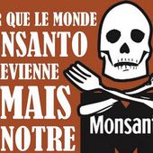 Monsanto, les OGM et les assassins - Le Kiosque aux Canards