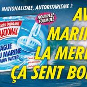 Les candidats FN tombent comme des mouches (à merde) - Le Kiosque aux Canards
