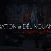 Le faux lien entre immigration et délinquance démontré sur France 2 - Le Kiosque aux Canards