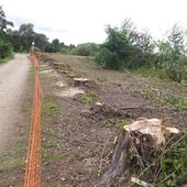 Dossier : Parc du Peuple de l'herbe à Carrière-sous-Poissy - ASAEECC "Votre vie à Carrières"
