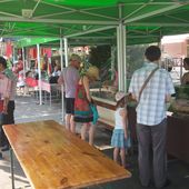 Attention, le marché Saint Exupéry sera fermé jusqu'à fin août ! - ASAEECC "Votre vie à Carrières"