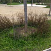 Info-chantier de l'ASAEECC : Parc du Peuple de l'Herbe - ASAEECC "Votre vie à Carrières"