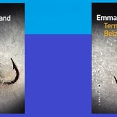 Emmanuel Grand : Terminus Belz (Éd.Liana Levi, 2014) - Le blog de Claude LE NOCHER
