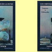 Yann Venner : Les chevaliers de la dune (Éditions de Trozoul, 2014)