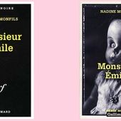 Nadine Monfils : Monsieur Émile (Série Noire, 1998) - Le blog de Claude LE NOCHER