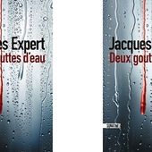Jacques Expert : Deux gouttes d'eau (Sonatine Éditions, 2015) - Le blog de Claude LE NOCHER