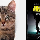 Jérémy Bouquin : À mort le chat ! (Éd.Lajouanie, 2015) Coup de cœur - Le blog de Claude LE NOCHER
