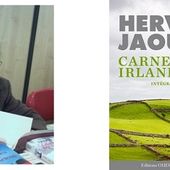 Hervé Jaouen : Carnets irlandais (Éd.Ouest-France, 2015) - Le blog de Claude LE NOCHER