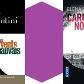 Elena Piacentini : interrogatoire de police d'une romancière suspecte - Le blog de Claude LE NOCHER