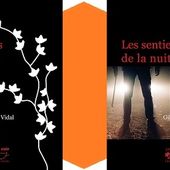 Gilles Vidal : Les sentiers de la nuit (Éd.du Jasmin, 2016) - Le blog de Claude LE NOCHER