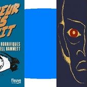 Dashiell Hammett : Terreur dans la nuit (Fleuve Éditions, 2016) - Le blog de Claude LE NOCHER