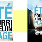 Nicolas Duplessier : Été pourri à Melun plage (l'Atelier Mosesu 2016) - Le blog de Claude LE NOCHER
