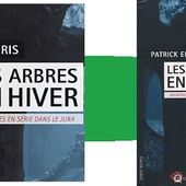 Patrick Eris : Les arbres, en hiver (Éd.Wartberg, 2016) Coup de cœur - Le blog de Claude LE NOCHER