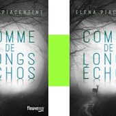 Elena Piacentini : Comme de longs échos (Fleuve Éditions, 2017) - Le blog de Claude LE NOCHER