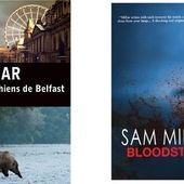 Sam Millar : Les chiens de Belfast (Éd.Seuil, 2014) - Le blog de Claude LE NOCHER