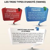 Les 3 types d'Unicité - Salafidunord