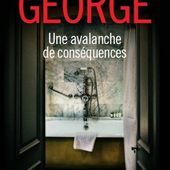 Une avalanche de conséquences Elizabeth George - lepetitgraindeseldelaramicelle.over-blog.com