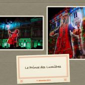 Lyon Fête des Lumières 2013-26 - le blog docroger