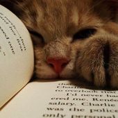 Chat alors! Des lectures totalement félines... - Chroniques des mondes hallucinés