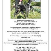 Galgo-en-souffrance/Blog Association Liaison Lévriers