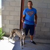 CLYDIE LA REBELLE DE SALAMANQUE - Galgo-en-souffrance/Blog Association Liaison Lévriers