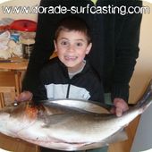 Dorade Record