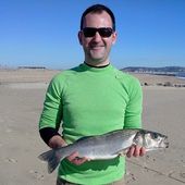 Dorade Surfcasting