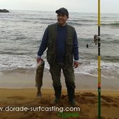 Dorade Surfcasting