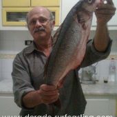 Port de la Goulette à Tunis - Dorade Surfcasting