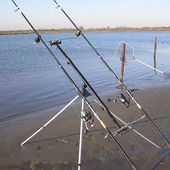 Guy inaugure le concours 2015 - Dorade Surfcasting