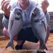 Le Corse "El poëti" - Dorade Surfcasting